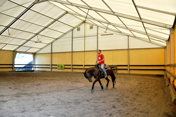 Můž jezdí na koni v lehké plachtové jízdárně.